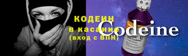 apvp Няндома