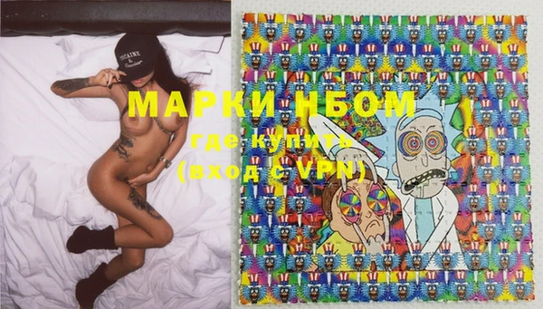 apvp Няндома