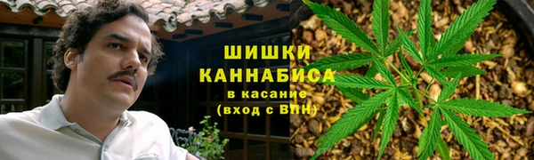 спайс Ельня