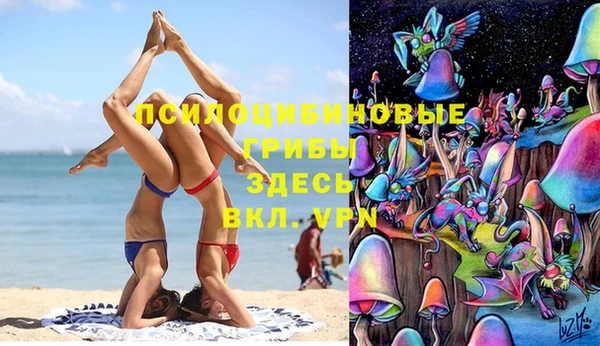 apvp Няндома