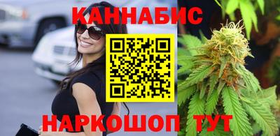 прущие крисы Гай