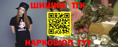 МДПВ Гатчина