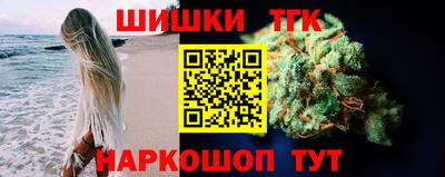 МДПВ Гатчина