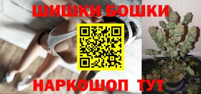 МДПВ Гатчина