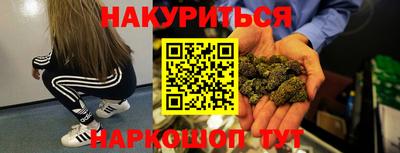 прущие крисы Гай