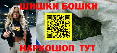МДПВ Гатчина