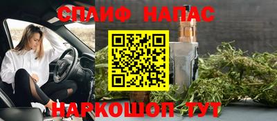 прущие крисы Гай