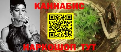 прущие крисы Гай